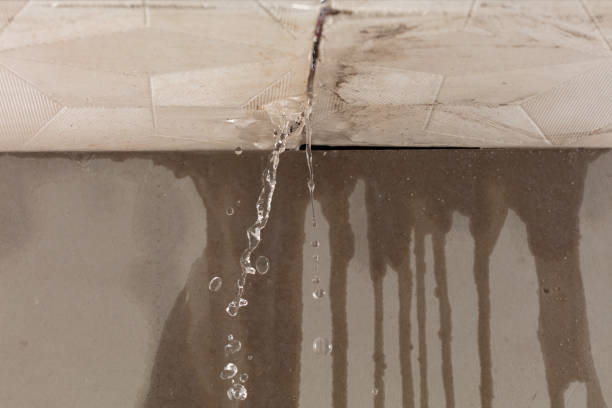 Professional Burst Pipe Cleanup technician working in Hawi, HI